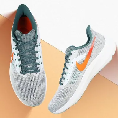 Nike Pegasus 39 poster